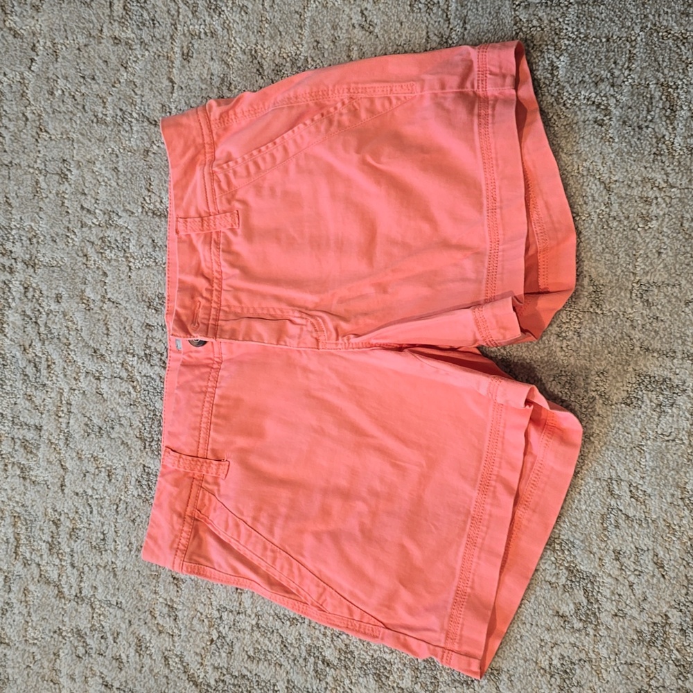 BKE Shorts 27